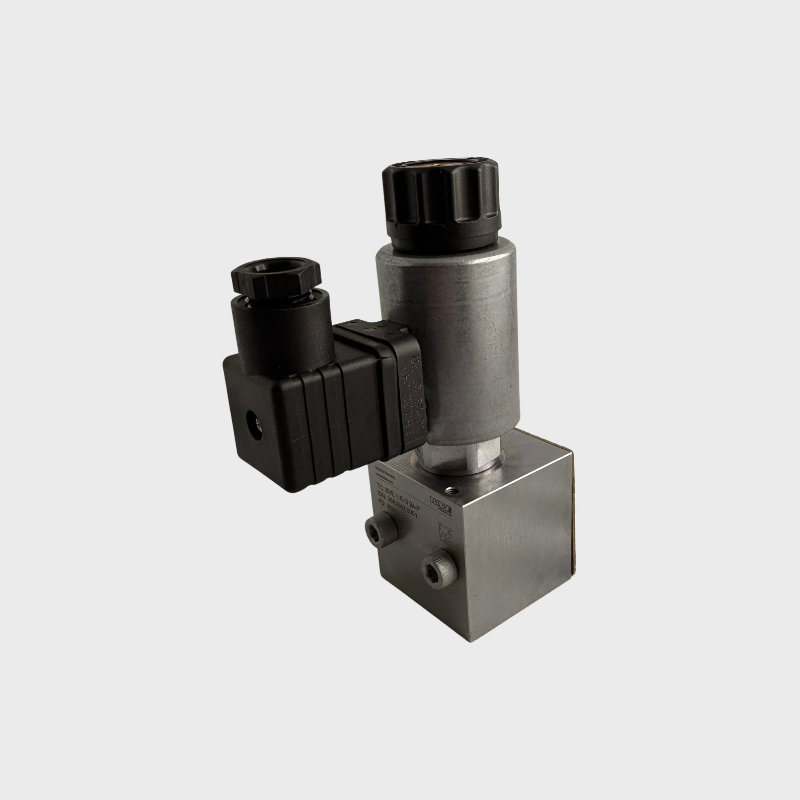 HAWE Sitzventil BVE 1 R-G 24-P 2 HAWE BVE31R-G24-P