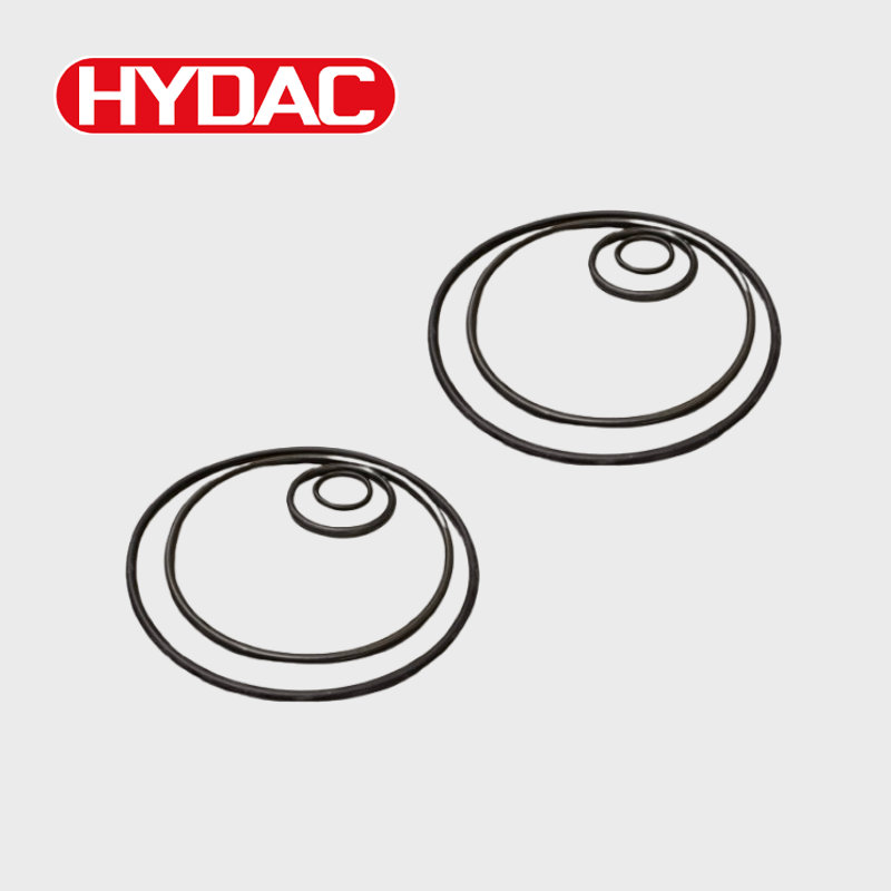Reparatursatz Hydac Filtergehäuse